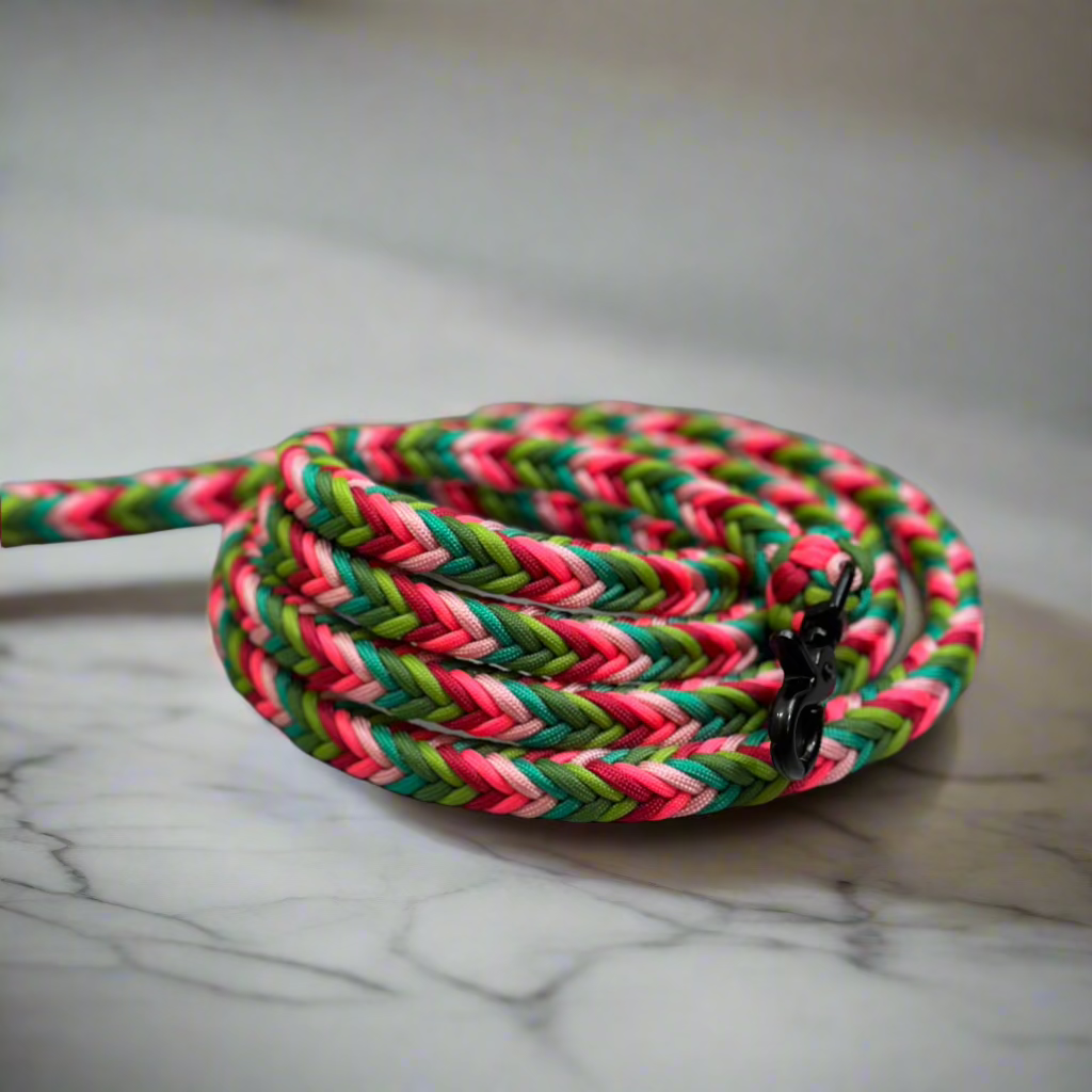 paracord povodec z elegantnim barvnim vzorcem za eleganten videz
