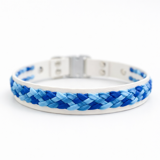 Biothane ali usnjena ovratnica – katera je boljša za psa?