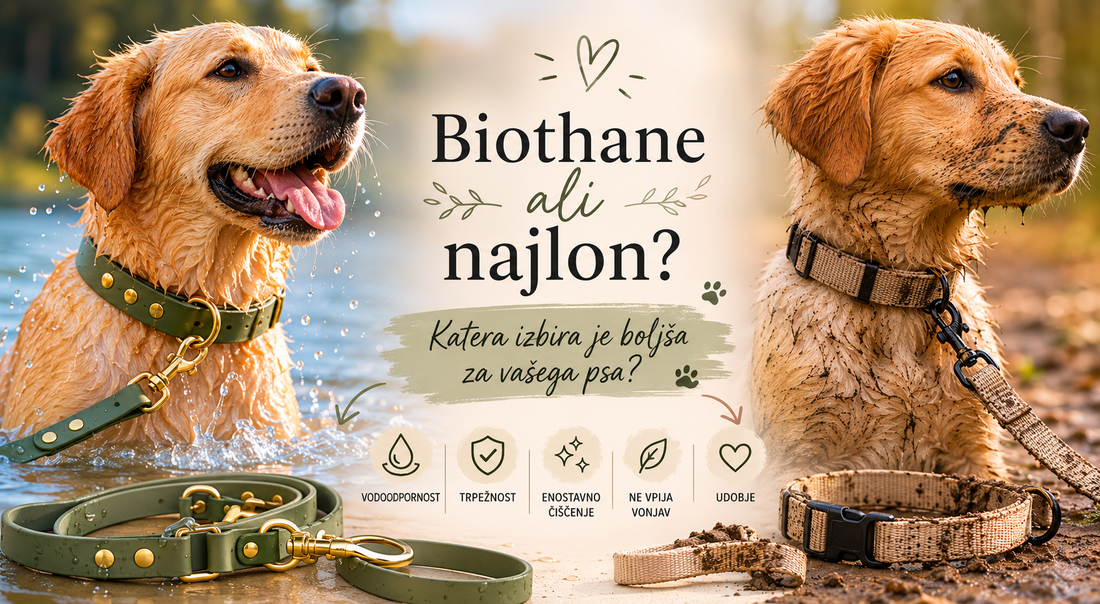 Biothane ali najlon: katera izbira je boljša za vašega psa?