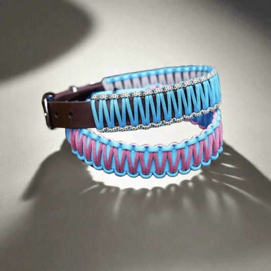 5 stvari, ki jih mora imeti dobra ovratnica za psa