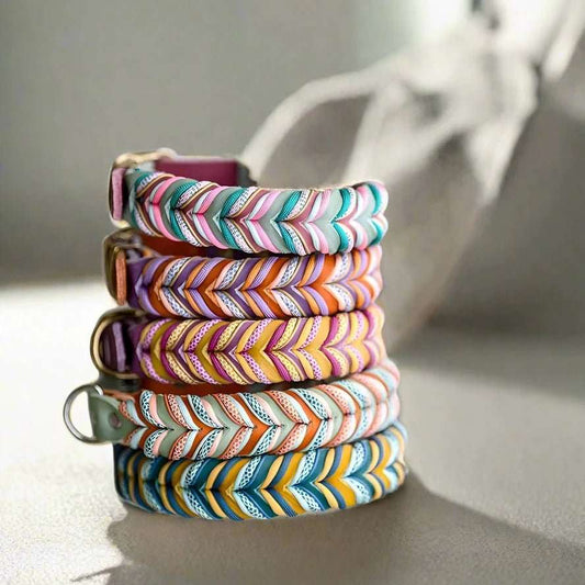 Biothane ovratnica za psa – prednosti in zakaj je tako priljubljena