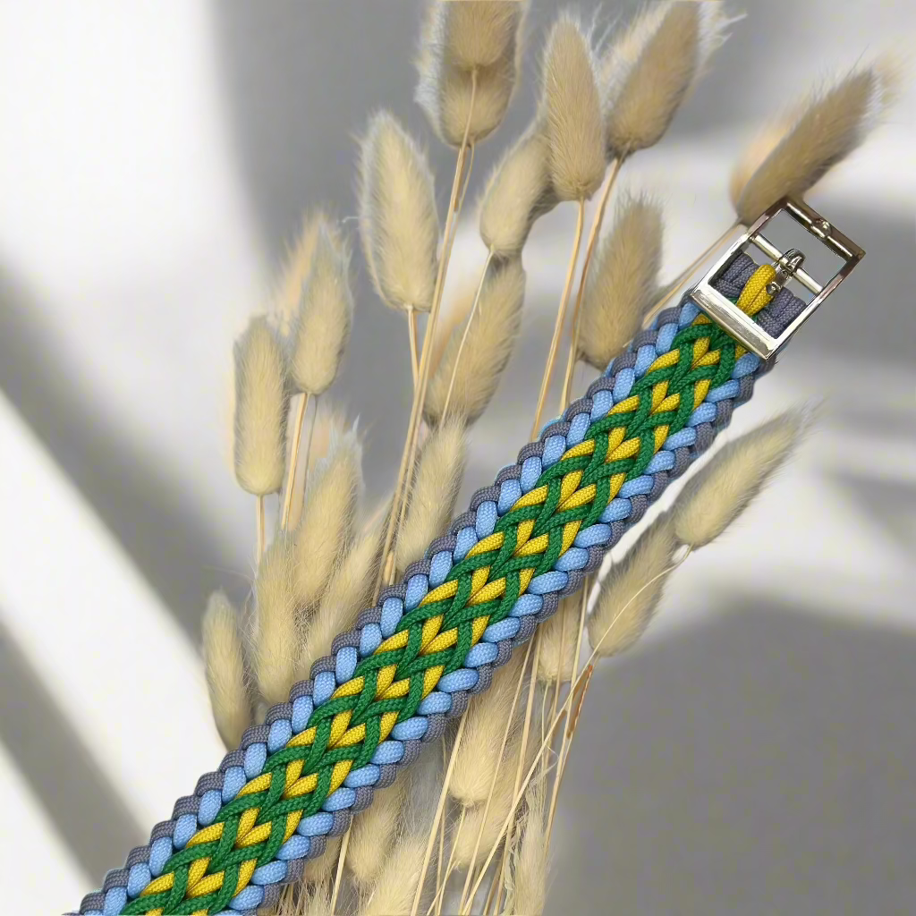 pasja ovratnica, collar for dog