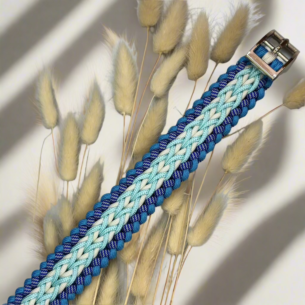 collar for dog