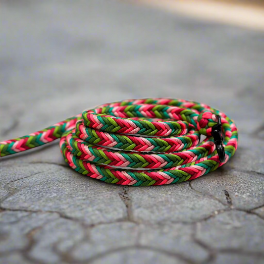 dolgi paracord povodec, idealen za prosto vodenje psa na sprehodih