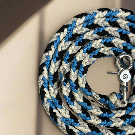 paracord povodec z robustnim karabinom iz nerjavečega jekla za varno uporabo