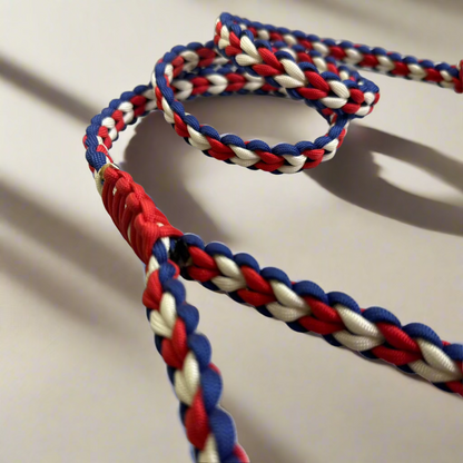 paracord povodec z hitro odpenjalnim karabinom za enostavno uporabo